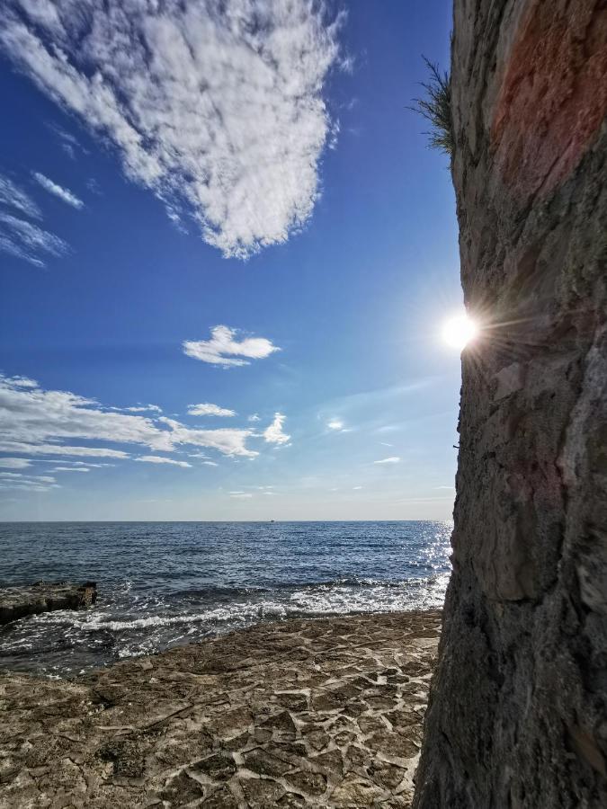 Ivan B&B, 5 Star Superior Room, Near The See And Park Novigrad Istria Εξωτερικό φωτογραφία